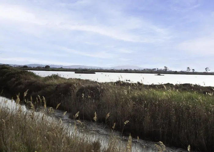 Pescadou By Interhome Hyères